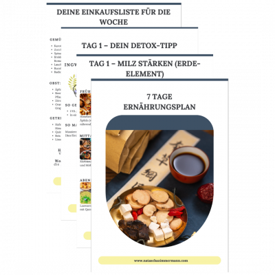 Ernährungsplan Übersicht